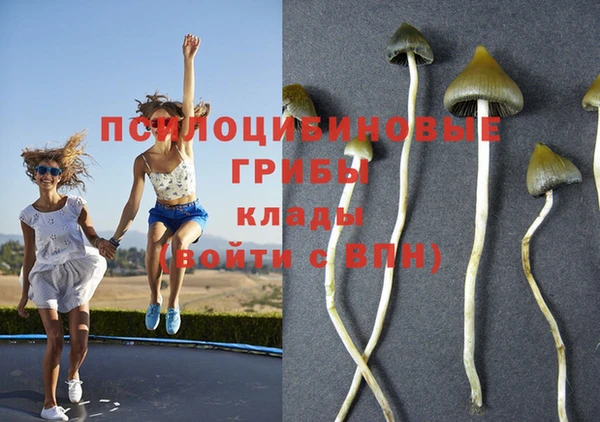 MDMA Осташков