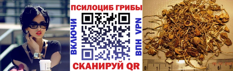 Купить закладки  Конаково  Галлюциногенные грибы Psilocybine cubensis 